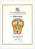 Certificate BSY Regression Hypno